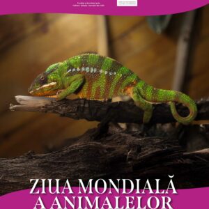 Ziua Mondială a Animalelor sărbătorită la Vivariul UBB