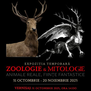 Descoperă creaturi reale și fantastice la UBB