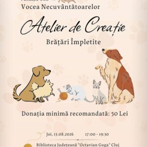 O nouă inițiativă a campaniei „Vocea necuvântătoarelor”: atelier creativ de împletit brățări pentru sprijinirea animalelor fără stăpân