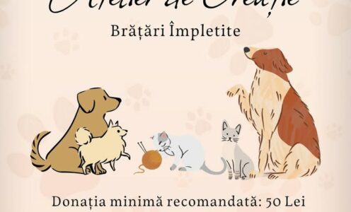 O nouă inițiativă a campaniei „Vocea necuvântătoarelor”: atelier creativ de împletit brățări pentru sprijinirea animalelor fără stăpân