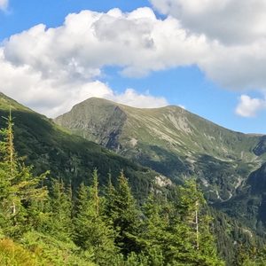 Cercetătorii UBB contribuie la un studiu publicat în revista Science privind schimbările biodiversității montane europene