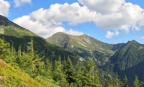 Cercetătorii UBB contribuie la un studiu publicat în revista Science privind schimbările biodiversității montane europene
