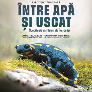 Lumea fascinantă a amfibienilor din România, descoperită pe pietonala UBB